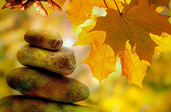 Qi Gong im Herbst