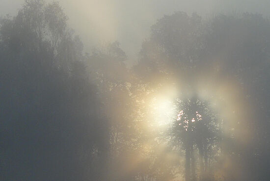 Stärkung für persönlichen Trauerweg - Treffpunkt Trauer-Cafe