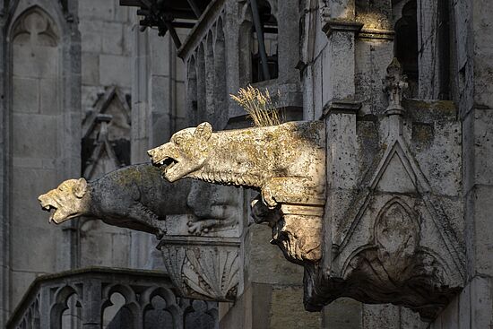 Rundumadum 
Entdeckungsreise um den Dom für Erwachsene