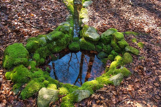 "In die Stille hören"