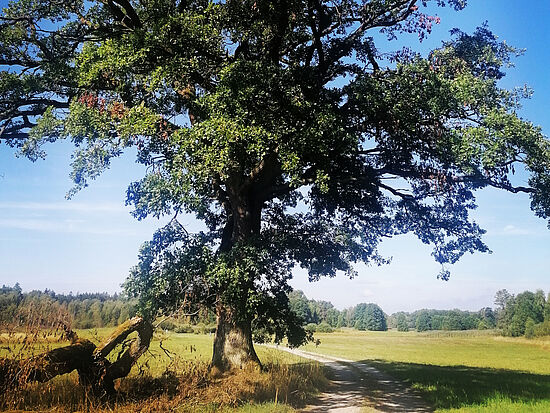 Natur genießen & in Bewegung bleiben