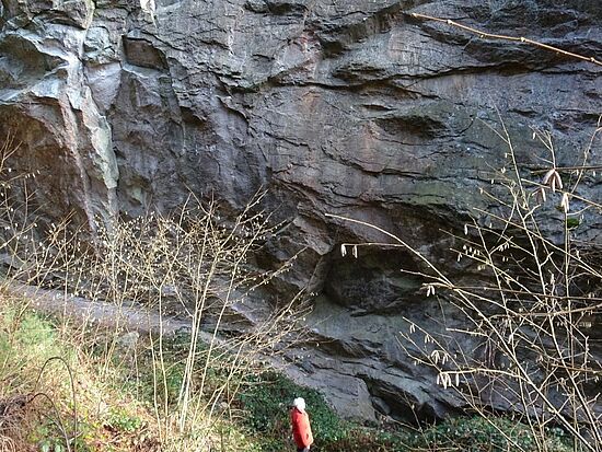 Expedition "Erdgeschichte Massenricht"