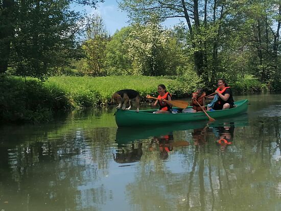 Kanuführung - Lebensader Vils