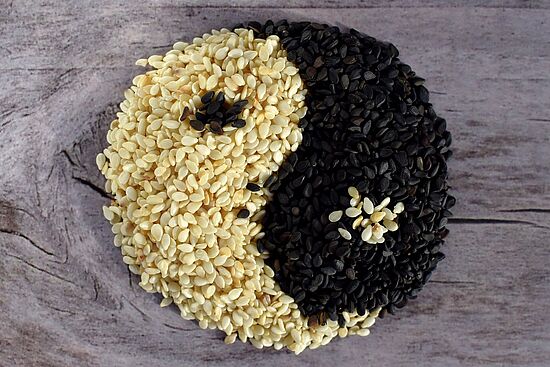Ernährung nach der Traditionellen Chinesischen Medizin (TCM)