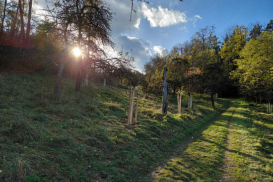 Herbstwanderung auf dem Eggenberg