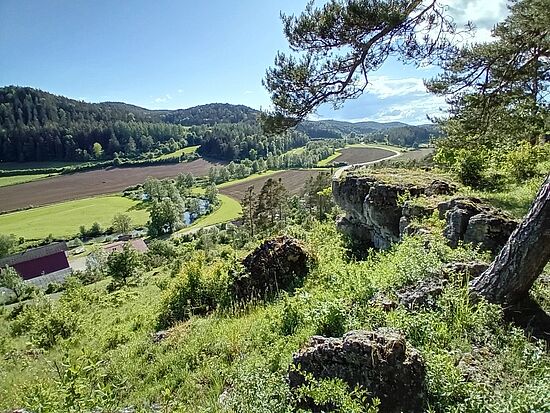 Mit dem Ranger unterwegs: Sommernachtswanderung im Lauterachtal