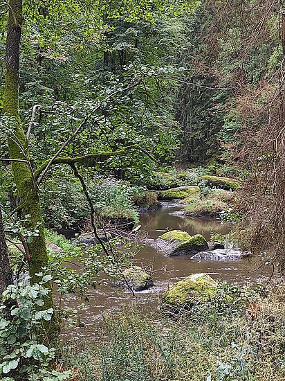 Wahre Lebenskunst: das Wunderbare sehen