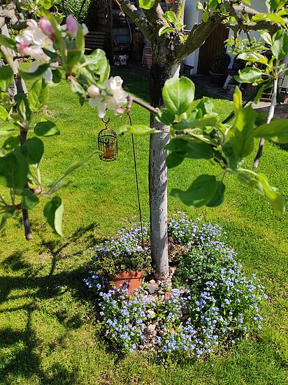 "Aufstehen - Aufbrechen - Aufblühen"