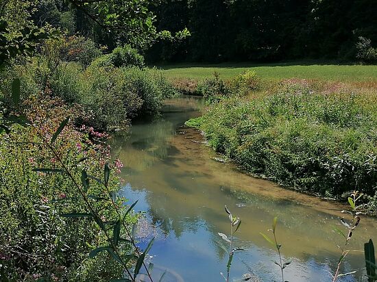 Mit dem Ranger unterwegs: Rechenfelstour - Wilde Flusstäler und trockene Wacholderheiden