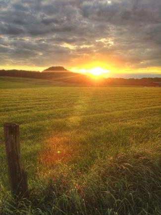 Meditative Wanderung mit Impulsen zur Sonnenwende