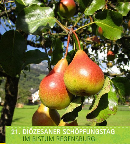 Link zur Ansicht des Flyers zum Schöpfungstag 2025